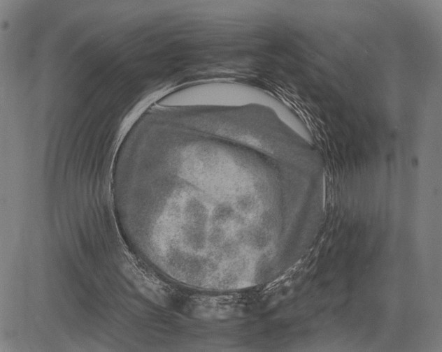 X0000083660147200703051801