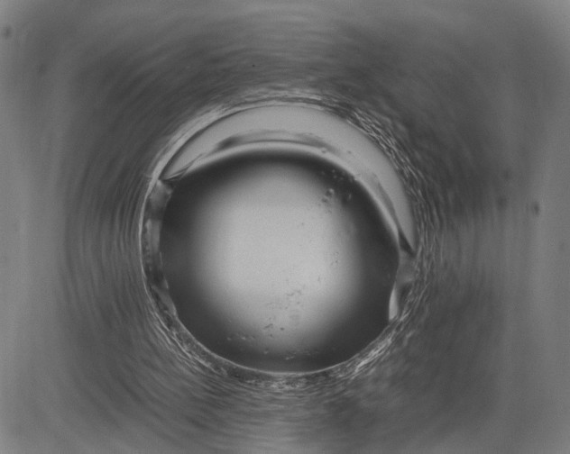 X0000083660148200703051801