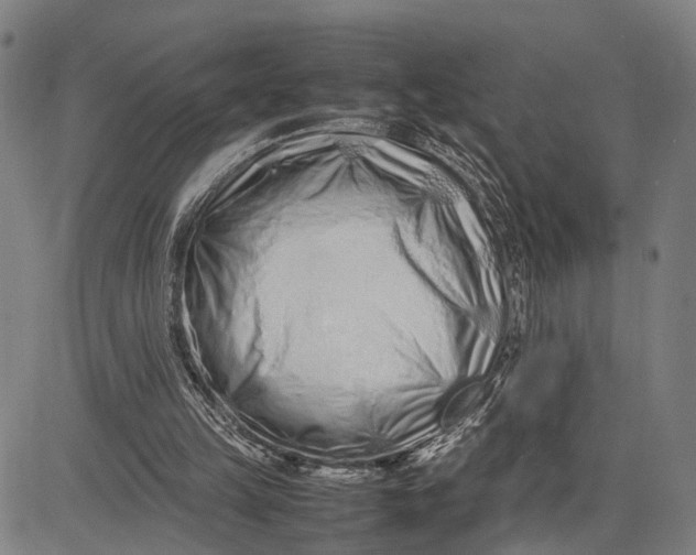 X0000083660149200703051801