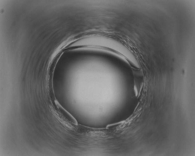 X0000083660150200703051801