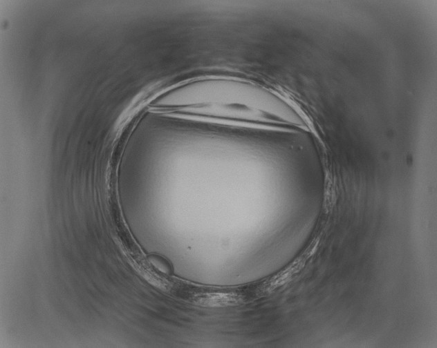 X0000083660151200703051801