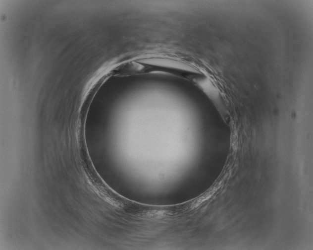 X0000083660152200703051801