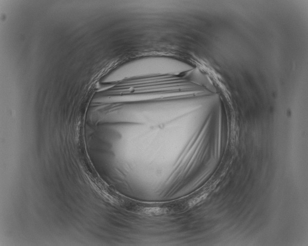 X0000083660153200703051801