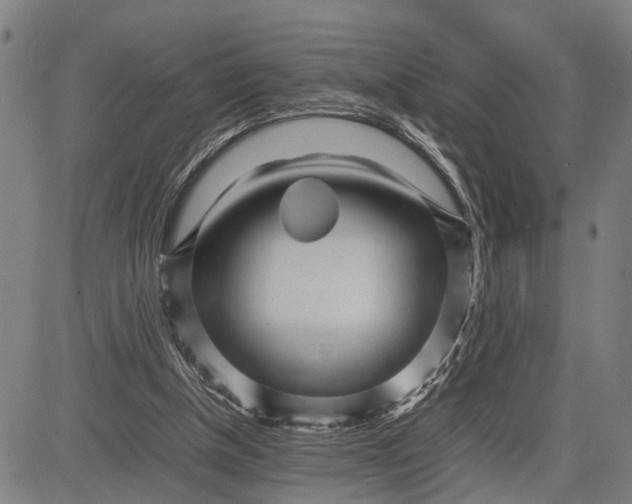 X0000083660154200703051801