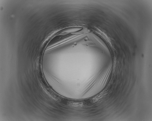 X0000083660155200703051801