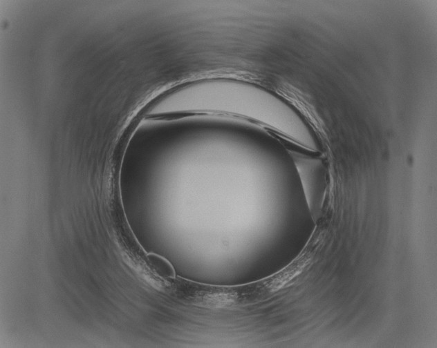 X0000083660156200703051801