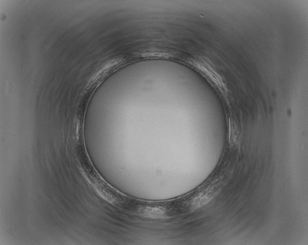 X0000083660157200703051801