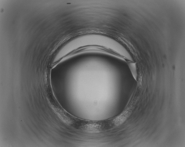 X0000083660158200703051801