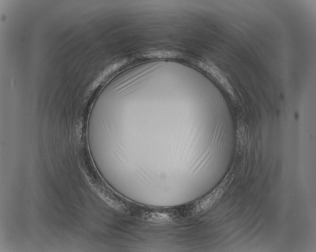 X0000083660159200703051801