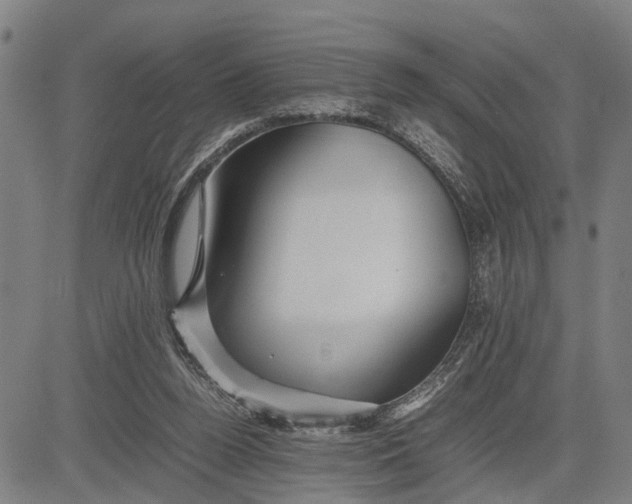 X0000083660160200703051801