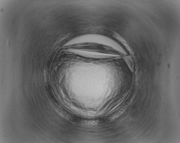 X0000083660161200703051801