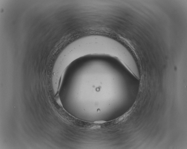 X0000083660162200703051801