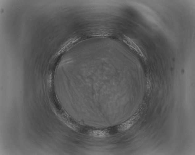 X0000083660163200703051801