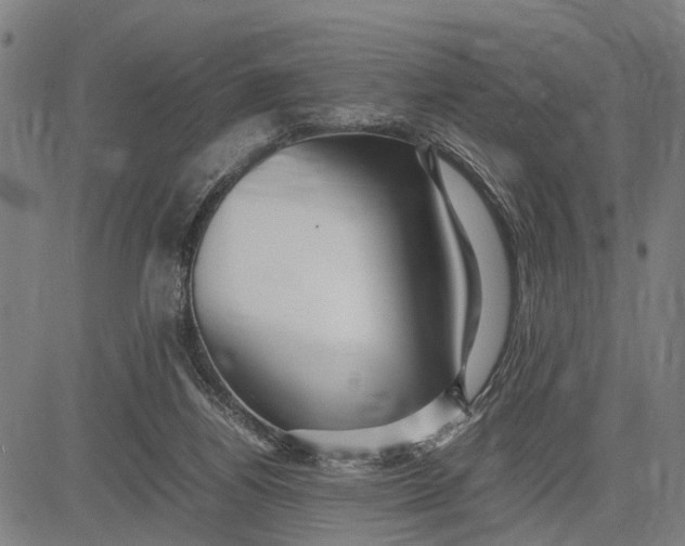 X0000083660164200703051801