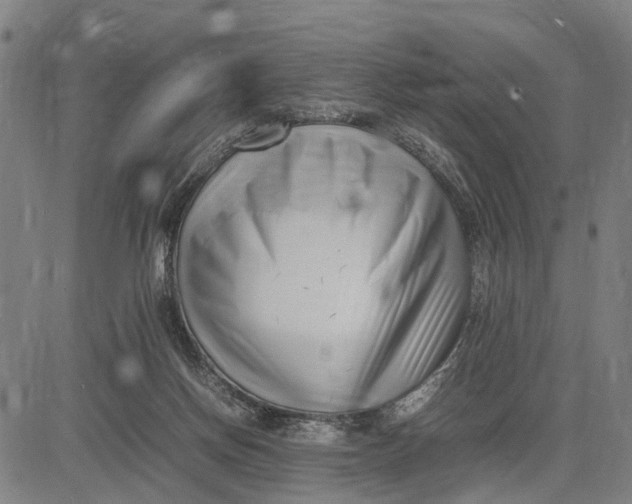 X0000083660166200703051801