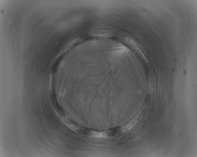 X0000083660167200703051801