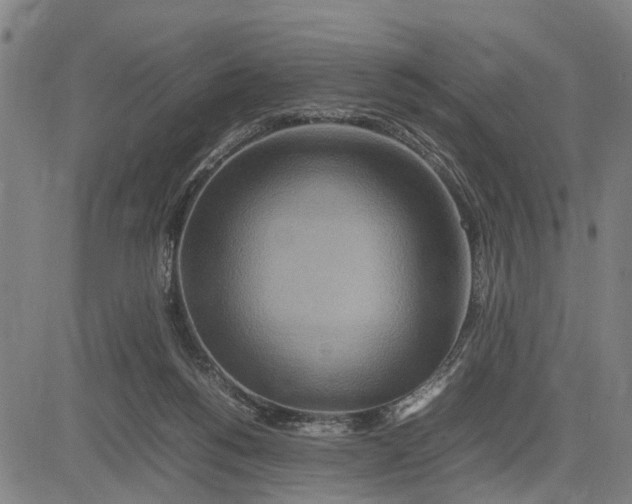 X0000083660168200703051801