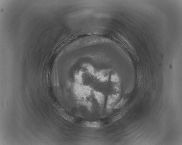 X0000083660169200703051801