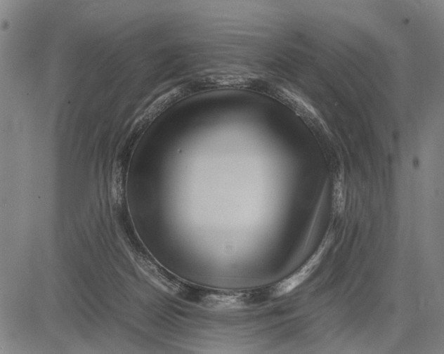 X0000083660170200703051801