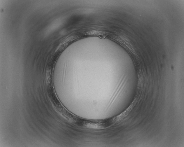 X0000083660171200703051801