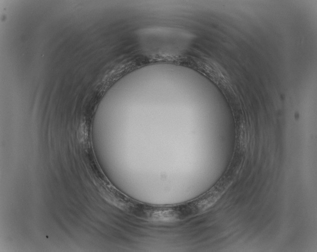 X0000083660173200703051801