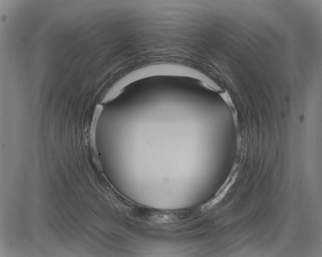 X0000083660174200703051801