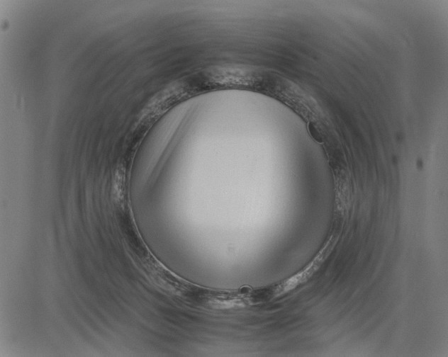 X0000083660175200703051801