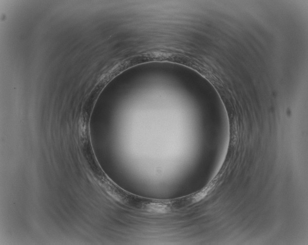 X0000083660176200703051801