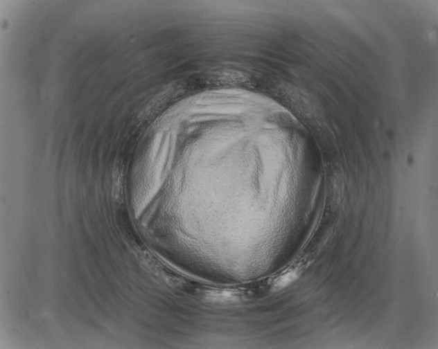 X0000083660177200703051801