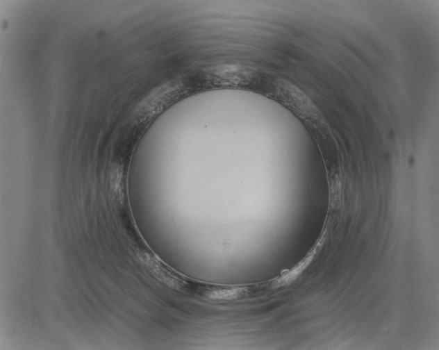 X0000083660178200703051801