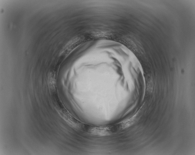 X0000083660179200703051801