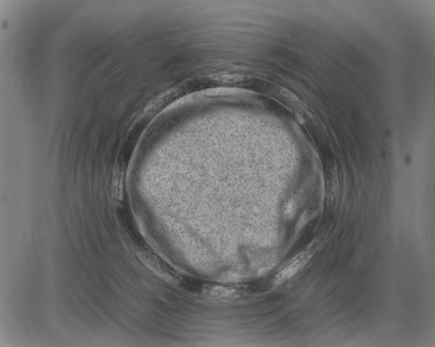 X0000083660180200703051801