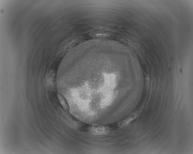 X0000083660181200703051801