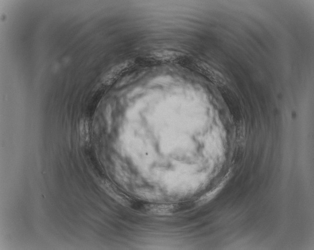 X0000083660182200703051801