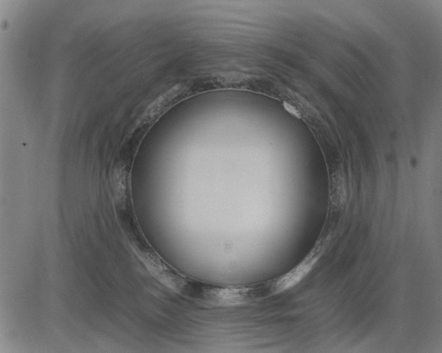 X0000083660184200703051801