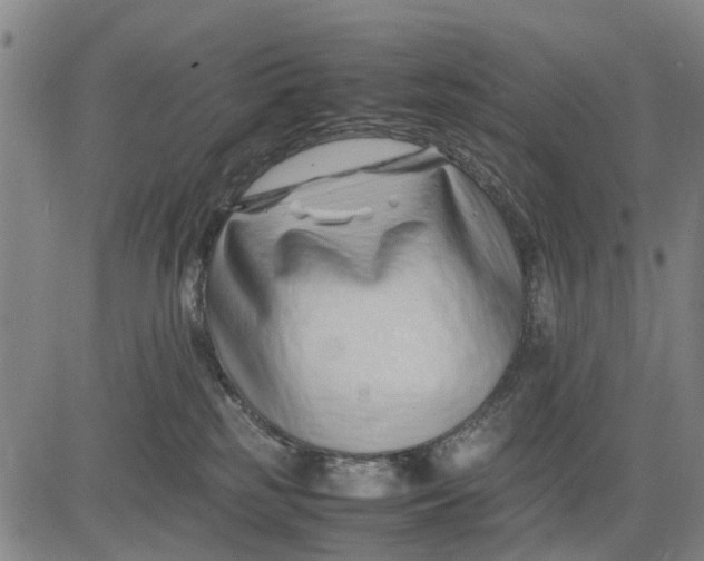 X0000083660185200703051801