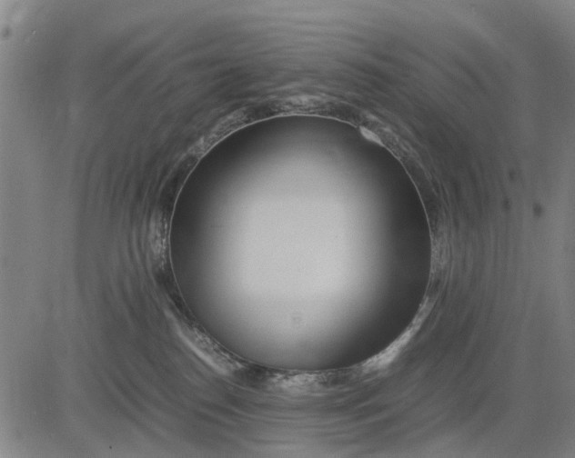 X0000083660186200703051801