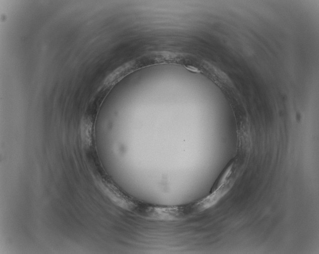 X0000083660188200703051801