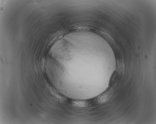 X0000083660189200703051801