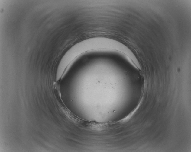 X0000083660190200703051801