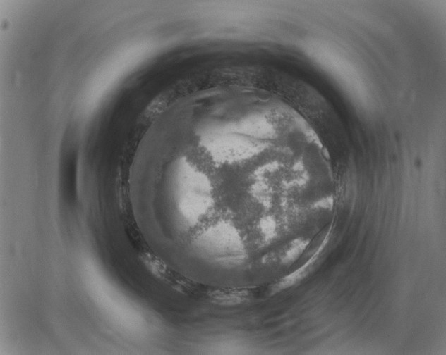 X0000083660191200703051801