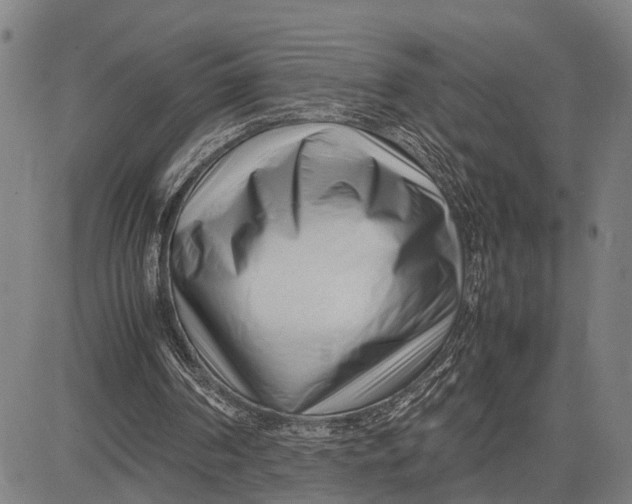 X0000083660194200703051800