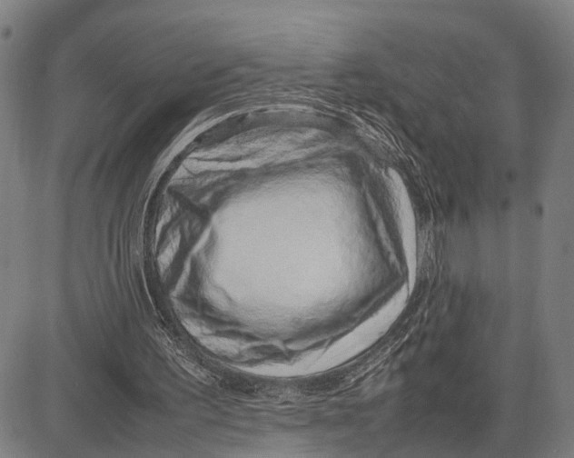 X0000083660195200703051800