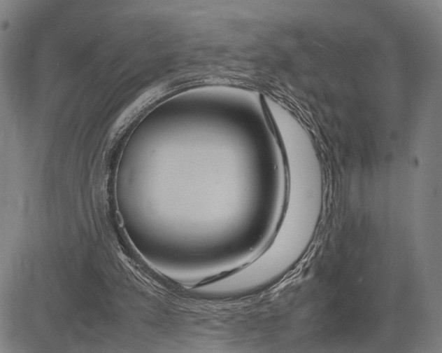 X0000083660197200703051800