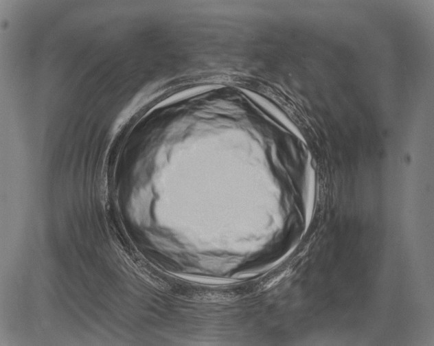 X0000083660198200703051800