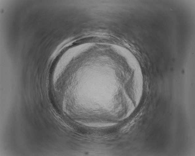 X0000083660199200703051800