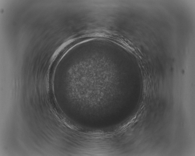 X0000083660200200703051800