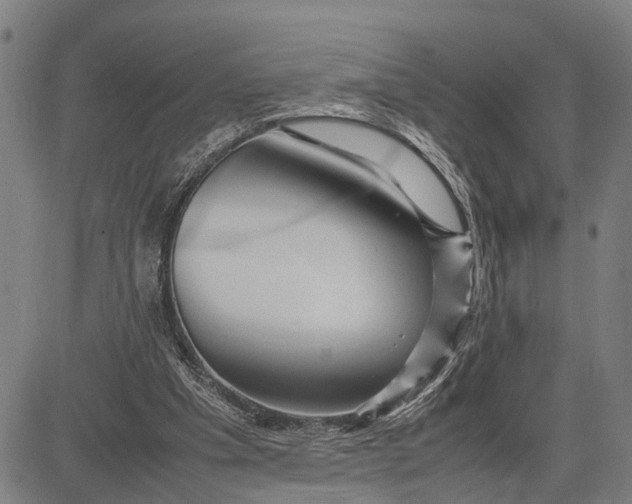 X0000083660201200703051800