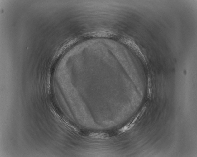 X0000083660202200703051800