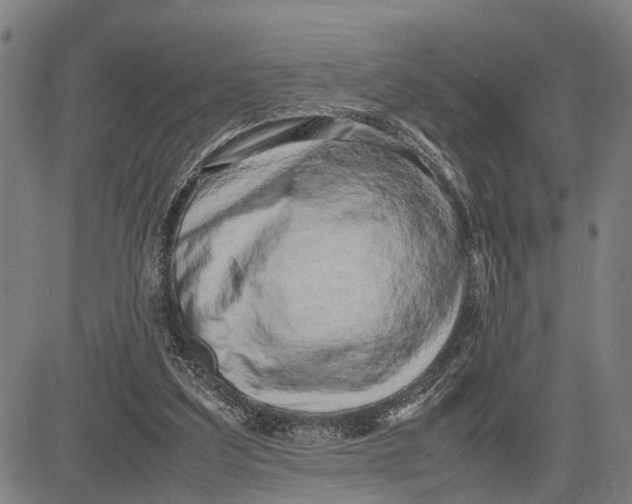 X0000083660203200703051800